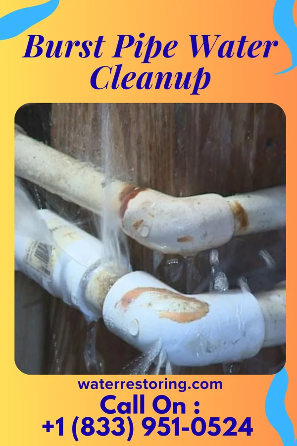 Burst Pipe Water Cleanup in Landen, OH