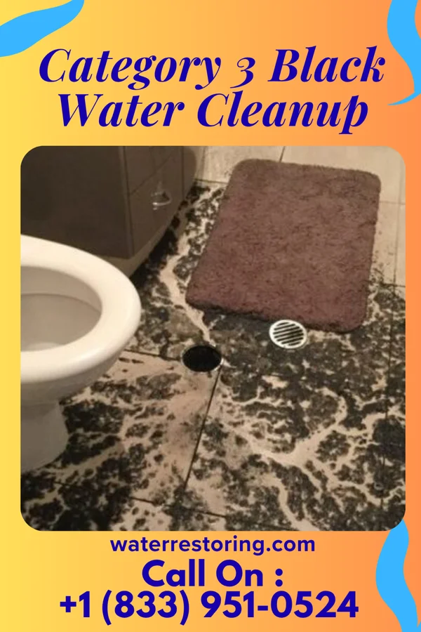 Category 3 Black Water Cleanup in Landen, OH