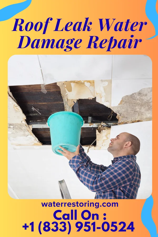 Roof Leak Water Damage Repair in Landen, OH