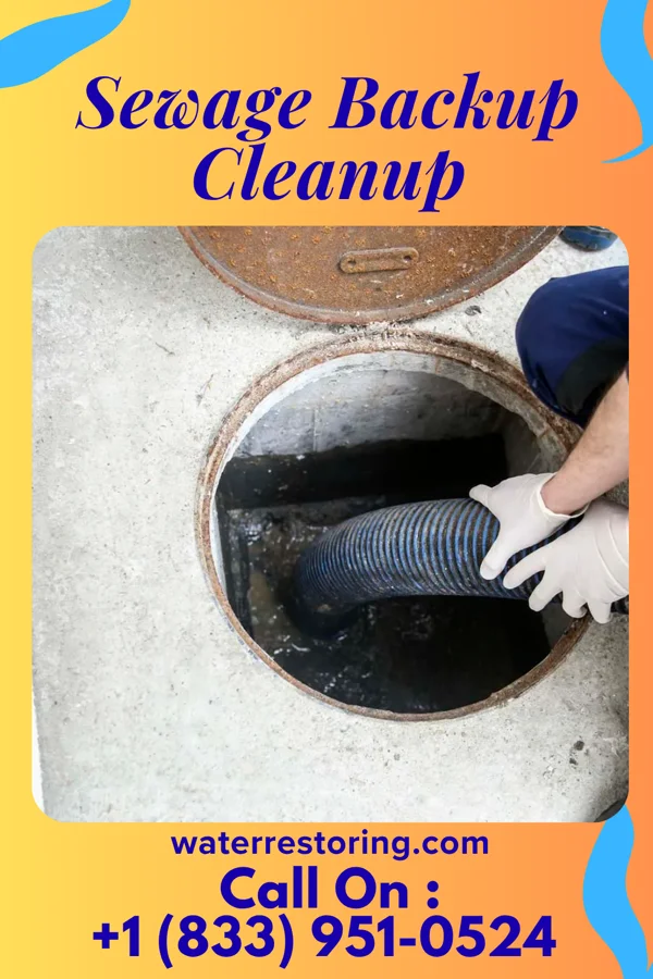 Sewage Backup Cleanup in Landen, OH