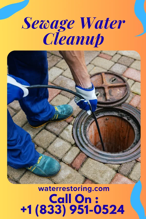 Sewage Water Cleanup in Landen, OH